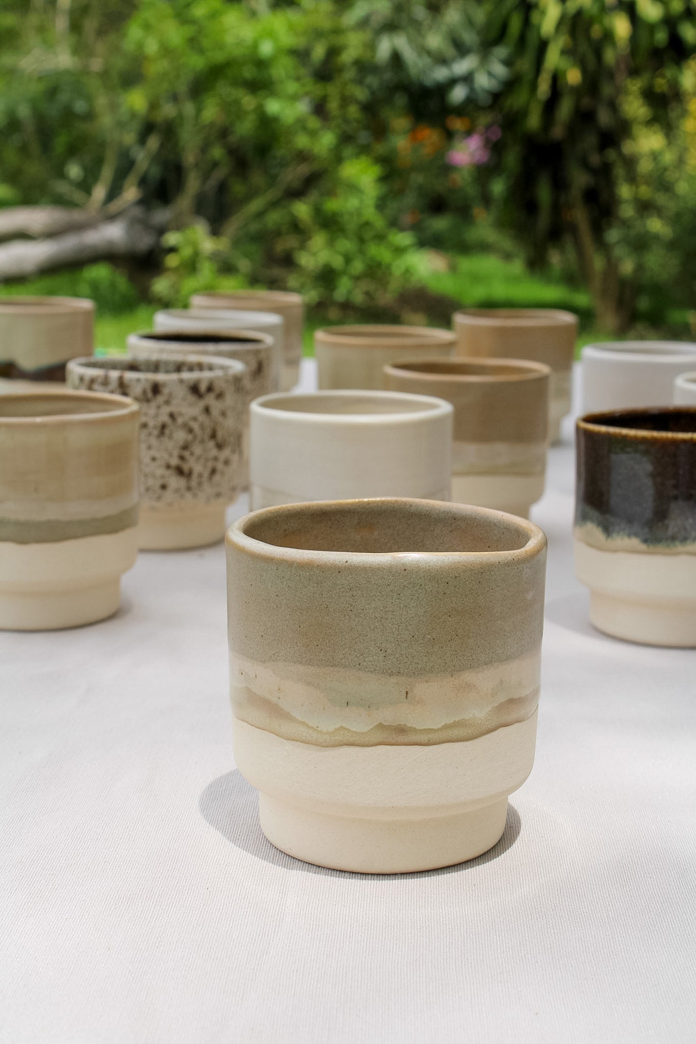 Taza Mudd